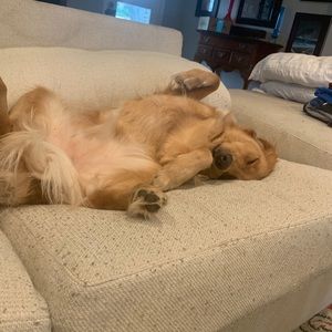 Meet your Posher, Mark